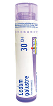 Boiron - Ledum Palustre 30ch (80ct)