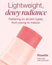 Mineral Fusion Natural Brands - 3-In-1 Color Stick Rosette (4.5g)