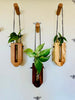 Propagation Stations