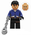 Minifigure - DC - Question