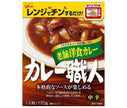 Ezaki Glico Curry Artisan Long-established Western Curry Medium Spicy 170g x 10 pieces [Shipped in Japan]