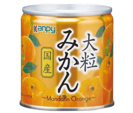 Campy Domestic large mandarin oranges 190g x 12 pieces [shipped in Japan]