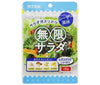 Tanaka Foods Mugen Salad Caesar Flavor 15g x 10 bags [Shipped in Japan]
