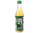 Kimura Beverage WASABI Ginger Ale 240ml bottle x 20 bottles [shipped in Japan]