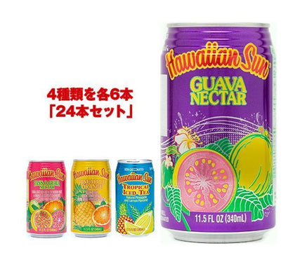 Leadoff Japan Hawaiian Sun 4-Variety Assortment Pack 340ml Can x 24 Cans 