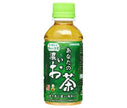 Sangaria Your Strong Tea 200ml plastic bottle x 30 pieces [shipped in Japan]