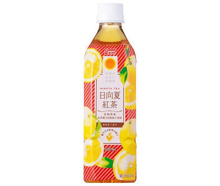 Sun A Hyuga Summer Black Tea HINATA TEA 500ml plastic bottle x 24 bottles [shipped in Japan]