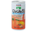 Saniku Foods Carrot 55 No added salt 190g cans x 30 pieces [Shipped in Japan]