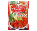 Saniku Foods Chinese style vegetable soybean balls 100g x 15 bags [shipped in Japan]