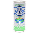 Sokensha Tanzawa Cider 250ml cans x 30 bottles [shipped in Japan]