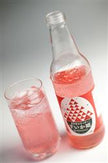 Ante Kanazawa Sand Dune Cider Watermelon Princess 340ml bottle x 24 bottles [shipped in Japan]
