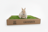 Real Grass Box for Rabbits – Natural Rabbit Potty Solution