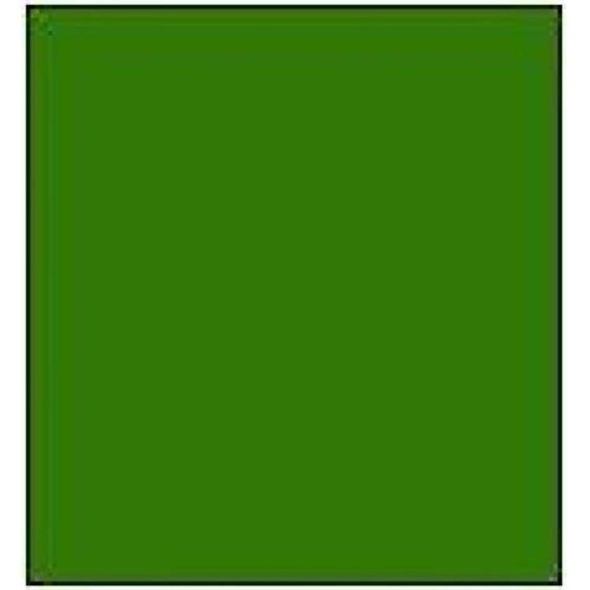 Rapido Proto-Paint 330040 BCR Light Green Acrylic Airbrush Ready Paint 1oz (29.5mL) NIB
