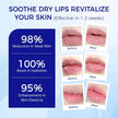Real Barrier Extreme Moisture Lip Balm 3.3g