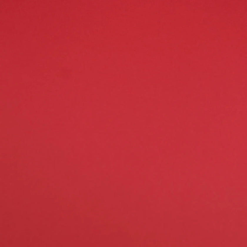 Clairefontaine - Maya Cardstock 120lb Paper - 20x28