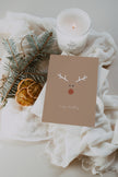 Rudolph Reindeer