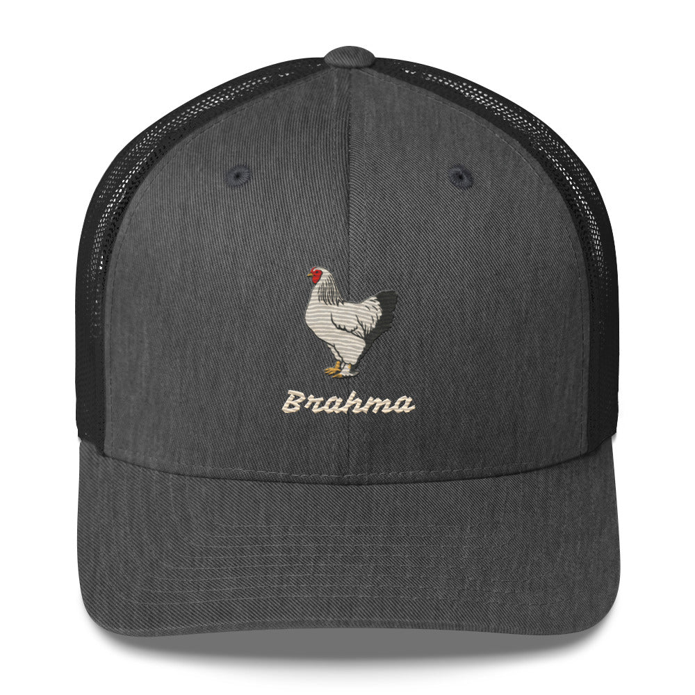Brahma Trucker Cap