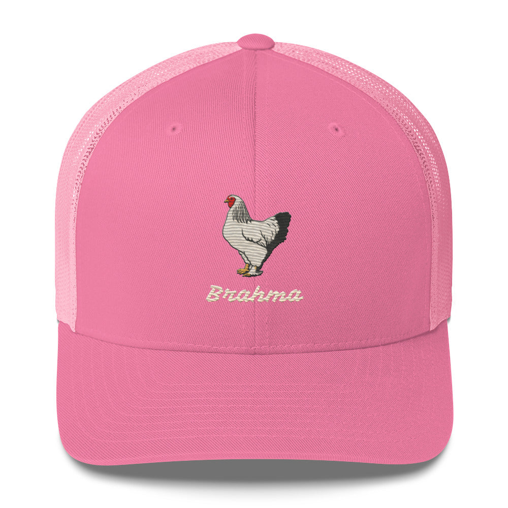 Brahma Trucker Cap