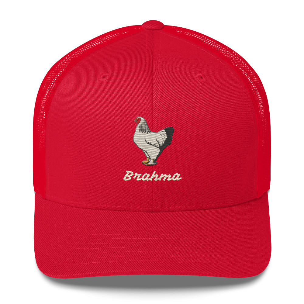 Brahma Trucker Cap
