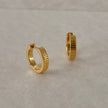 Ribbed Honey Hoops