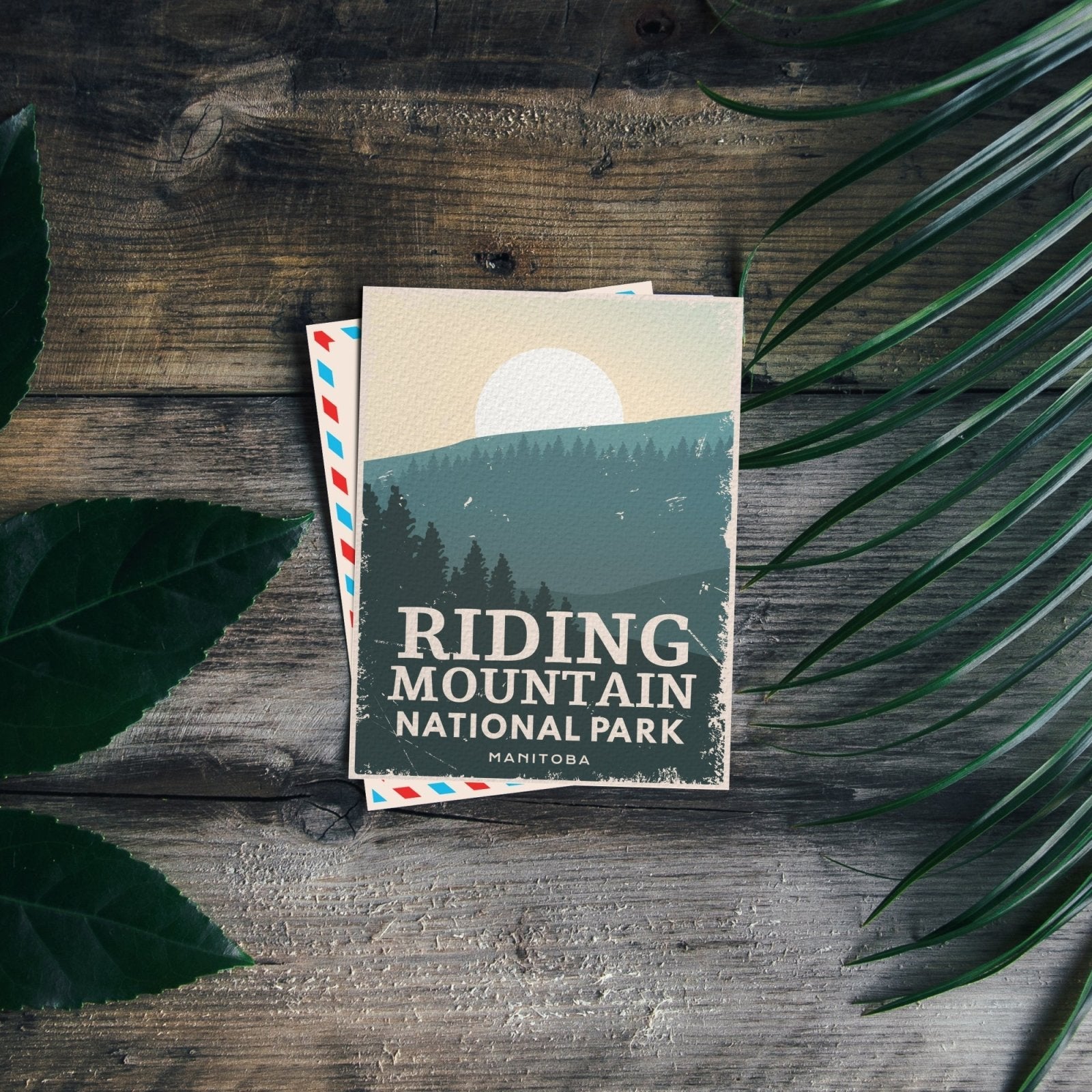 Riding Mountain National Park of Canada Postcard, Canada Parks