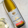 Dr. Zenzen - Pinot Grigio