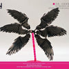RCW Angel Wings