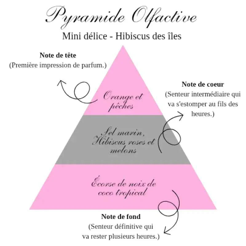 La bougie gourmande mini délice - Hibiscus des îles