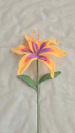 Sundrop Flower