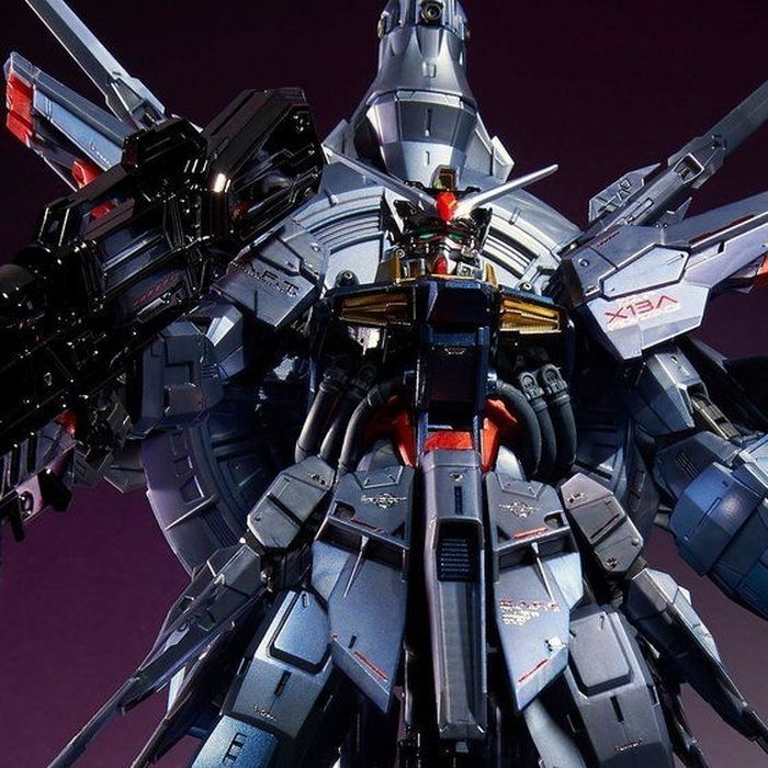 Premium Bandai MG 1/100 Providence Gundam Special Coating
