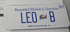 Personalized Custom License Plate for Kids Car