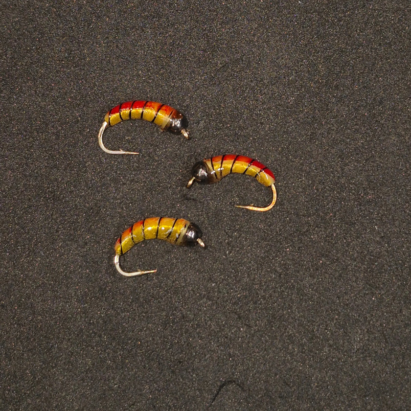 🍁Big Sky Tungsten Ice Bug Asst. Colors