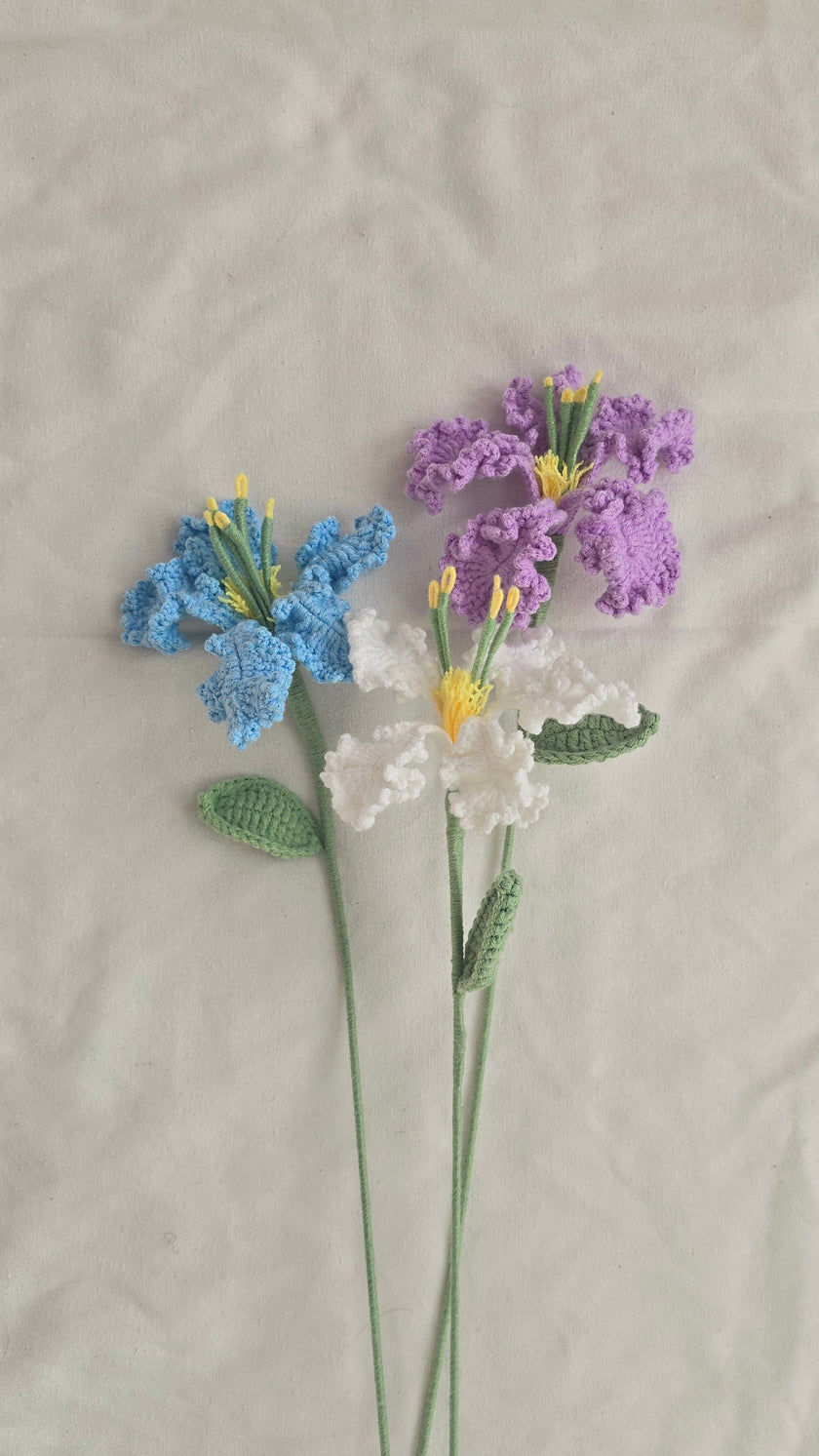 Iris