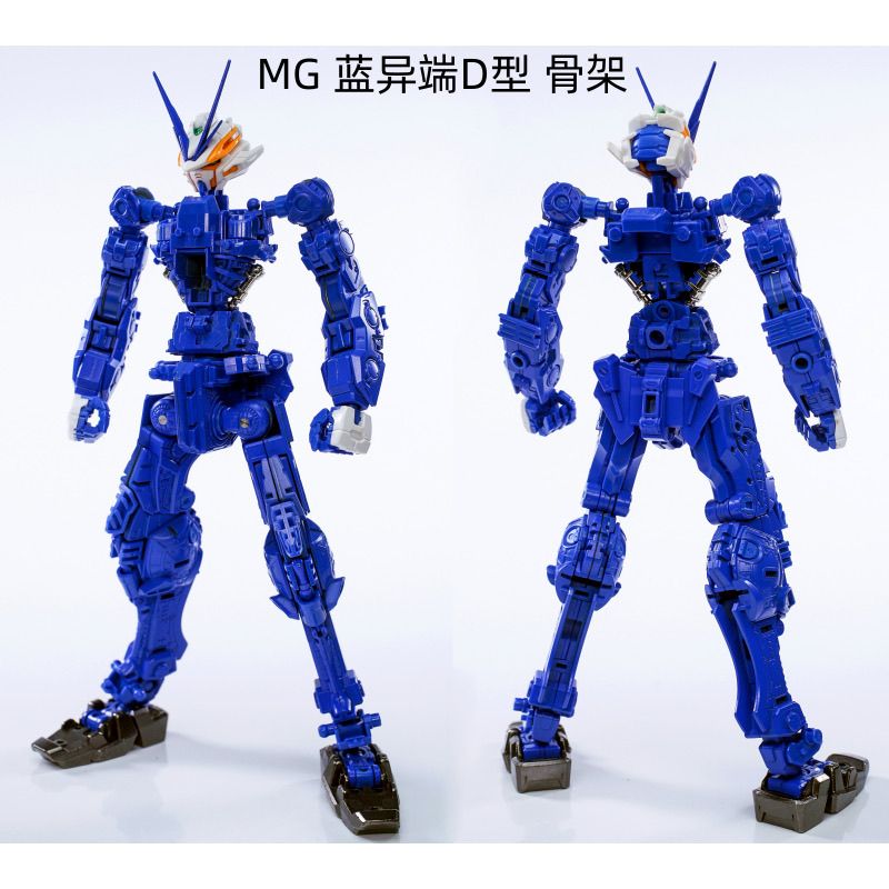 EW MG Astray 1/100 Metal Frame