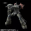 Premium Bandai HG 1/144 ZAKU Ⅱ F TYPE CHUBS & KALE + ZAKUⅡ (UNIDENTIFIED TYPE) SOLARI CUSTOM PARTS SET  (RFV)
