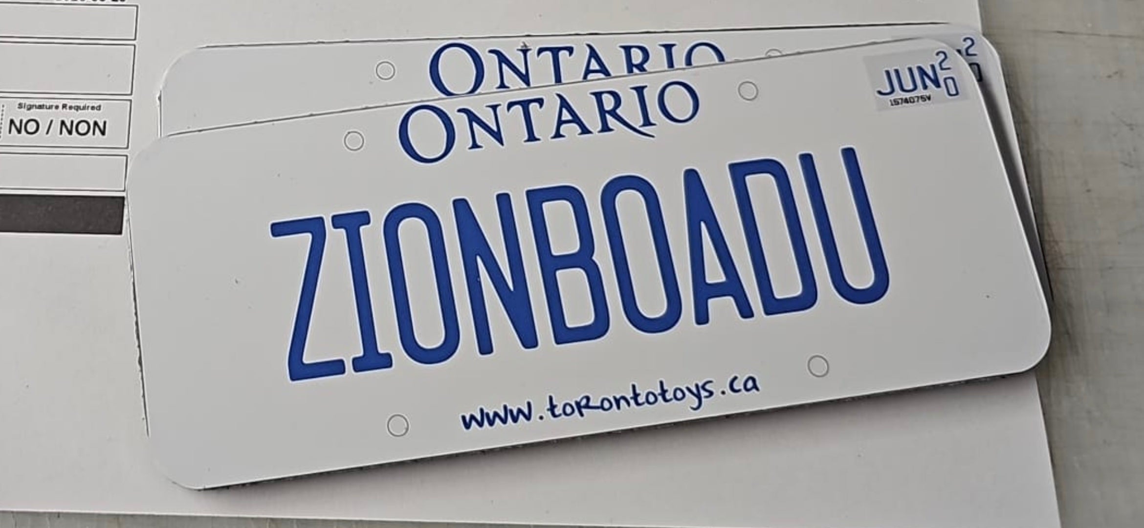 Personalized Custom License Plate for Kids Car