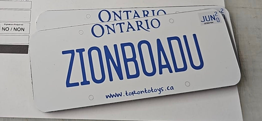 Personalized Custom License Plate for Kids Car