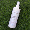 Birthday Cake Kids Detangler