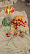 Fruits (50% off!)