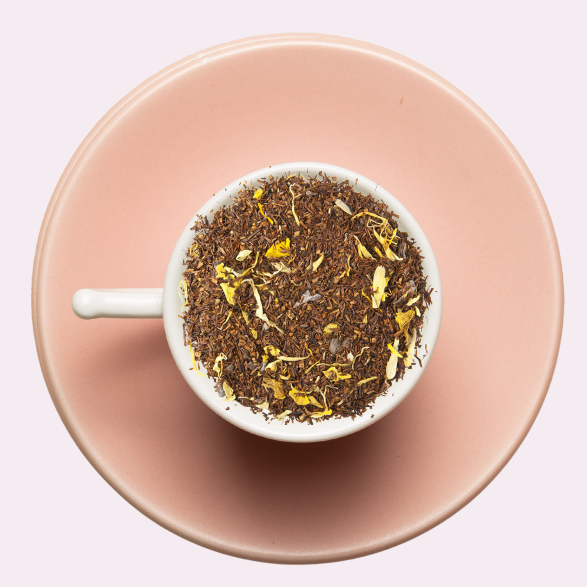 Chocolate Truffle