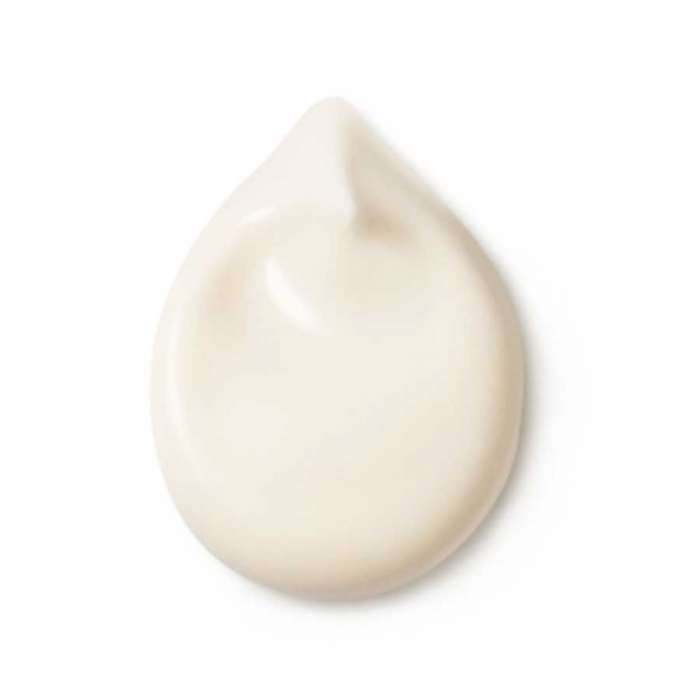 Dr. Hauschka Rose Day Cream Light, 30ml