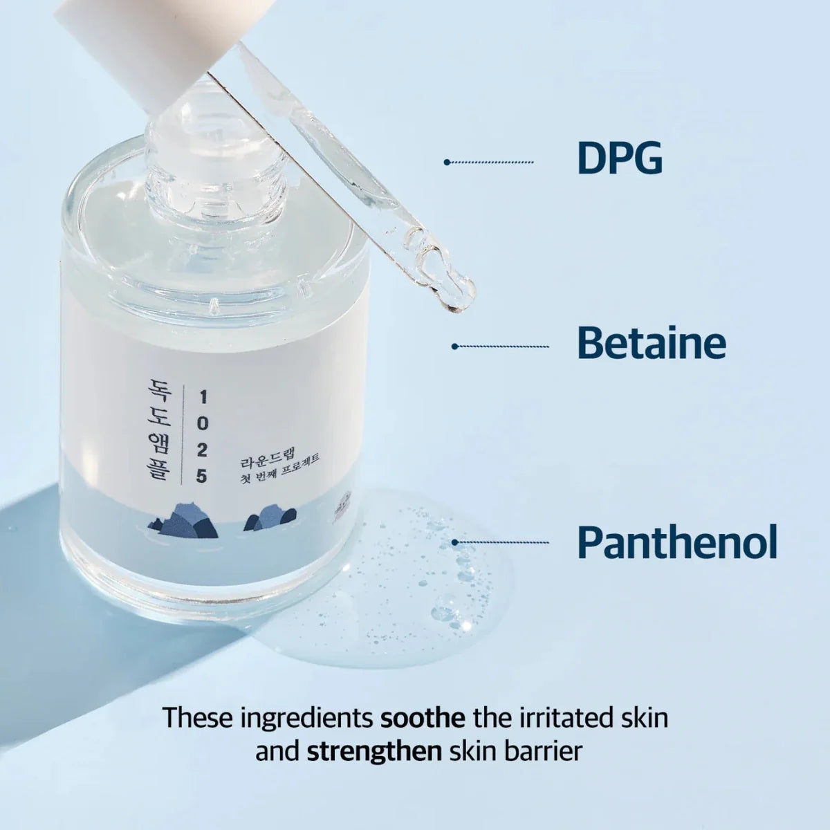 Round Lab 1025 Dokdo Ampoule 45g