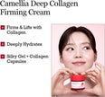 Round Lab Camellia Deep Collagen Firming Cream 50ml