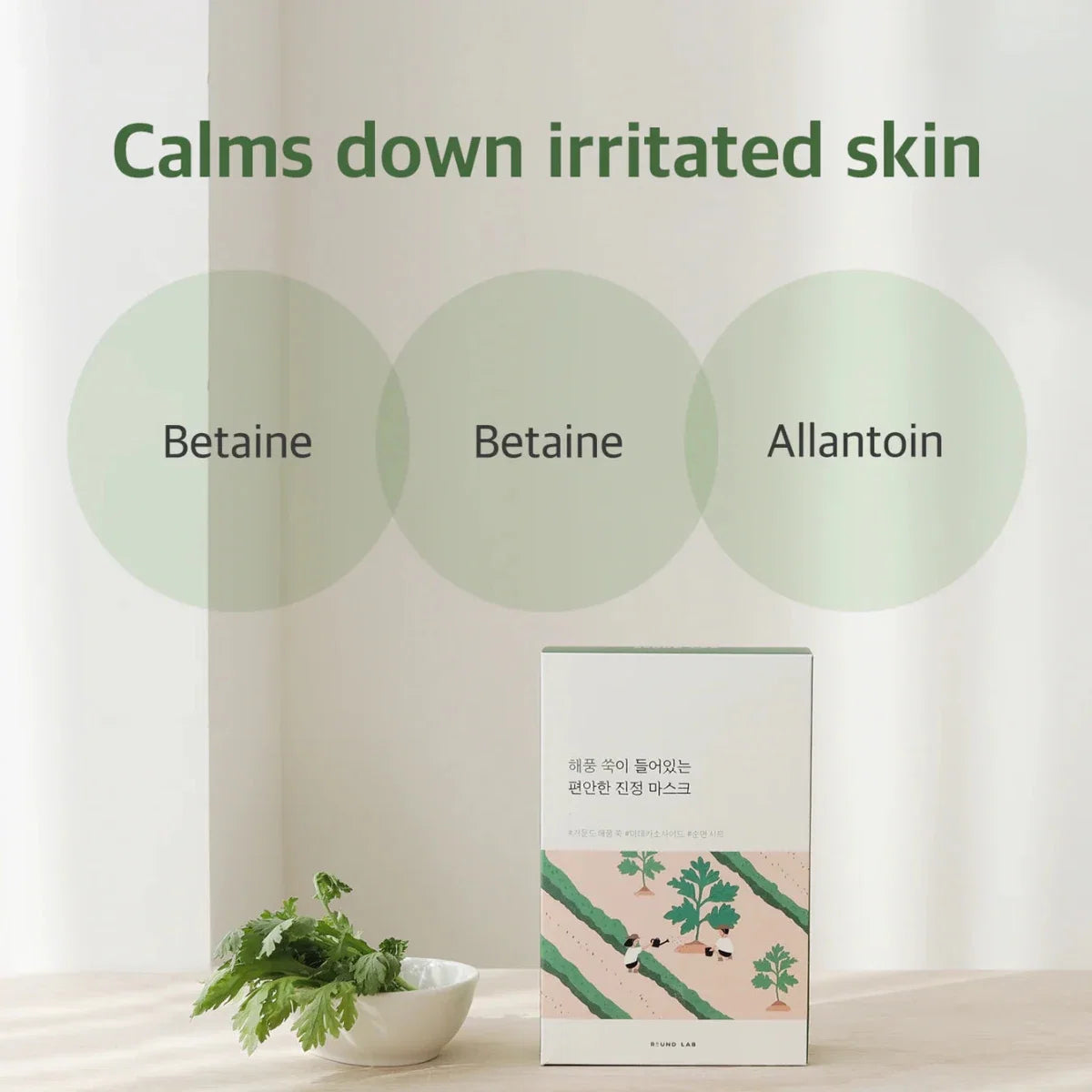Round Lab Mugwort Calming Mask 25ml