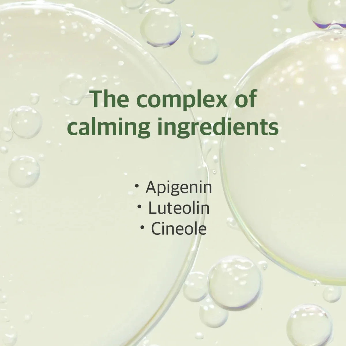 Round Lab Mugwort Calming Serum 50ml