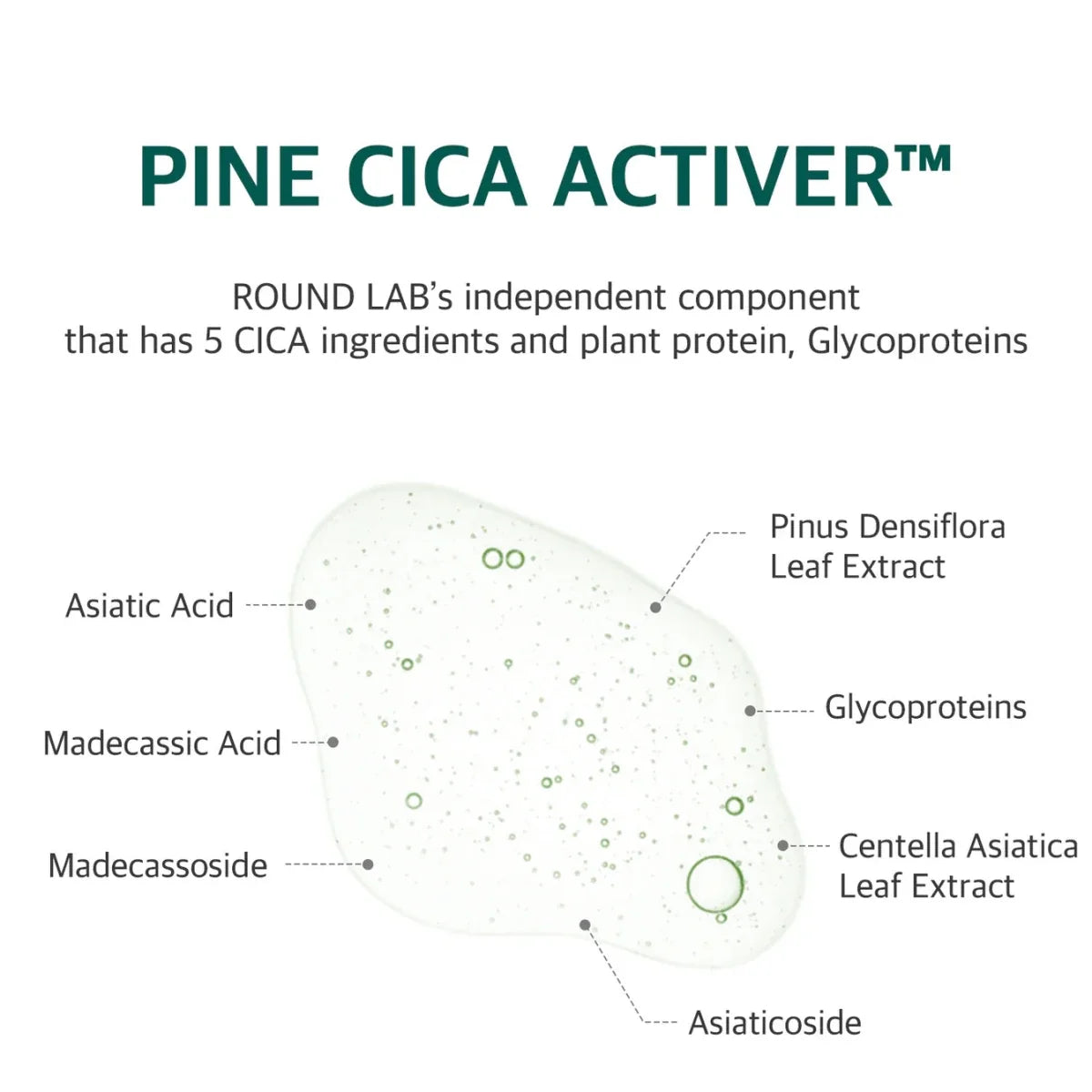 Round Lab Pine Calming Cica Pad 50pads