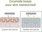 Round Lab Soybean Nourishing Mask 25ml