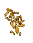 Rover Pet Products - Gettn' Lippy Wit It Green Lipped Mussels Dog Treats