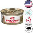 Royal Canin - Breed Health Nutrition Yorkshire Terrier Loaf In Sauce Adult Canned Dog Food