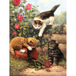 Royal & Langnickel Paint by Numbers - Kittens at Play 9.375